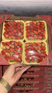 MyD Delivery Product Image